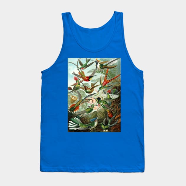 Hummingbirds Trochilidae by Ernst Haeckel Tank Top by MasterpieceCafe